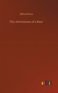 bokomslag Adventures of a Bear