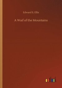 bokomslag Waif of the Mountains