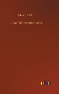 bokomslag Waif of the Mountains