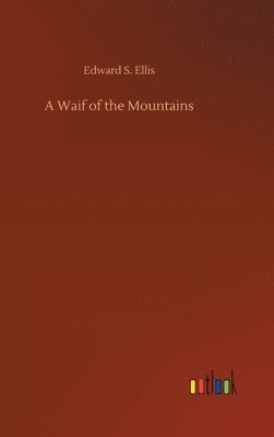 bokomslag Waif of the Mountains