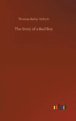 Story of a Bad Boy