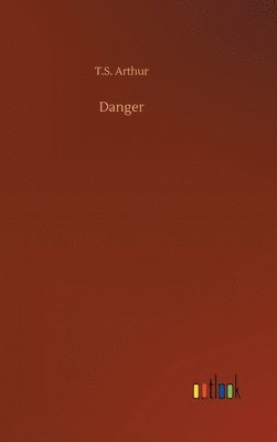 bokomslag Danger