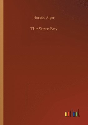 bokomslag The Store Boy