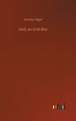 bokomslag Only an Irish Boy