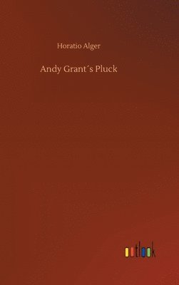 bokomslag Andy Grants Pluck