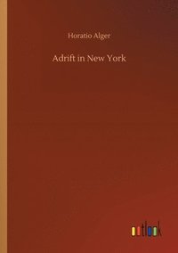 bokomslag Adrift in New York