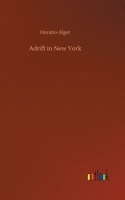 bokomslag Adrift in New York