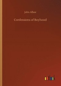 bokomslag Confessions of Boyhood