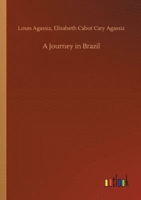 A Journey in Brazil 1