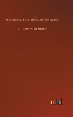 A Journey in Brazil 1