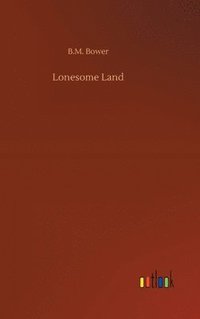 bokomslag Lonesome Land