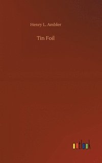 bokomslag Tin Foil
