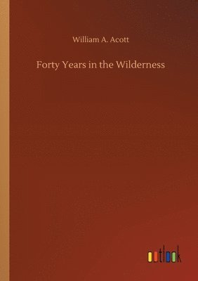 bokomslag Forty Years in the Wilderness