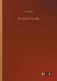 bokomslag Black Poodle