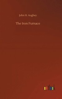 bokomslag The Iron Furnace