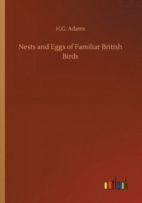 bokomslag Nests and Eggs of Familiar British Birds