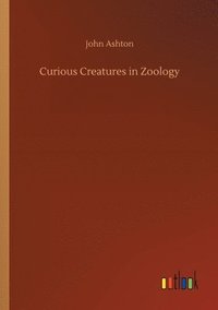 bokomslag Curious Creatures in Zoology