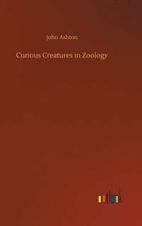 bokomslag Curious Creatures in Zoology