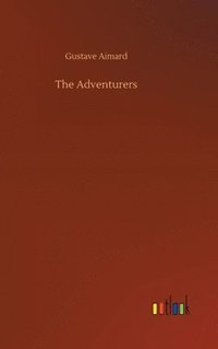 bokomslag Adventurers