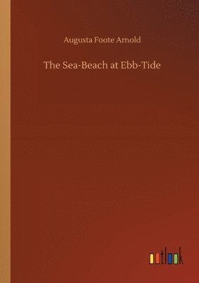Sea-Beach at Ebb-Tide 1