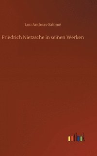 bokomslag Friedrich Nietzsche in seinen Werken