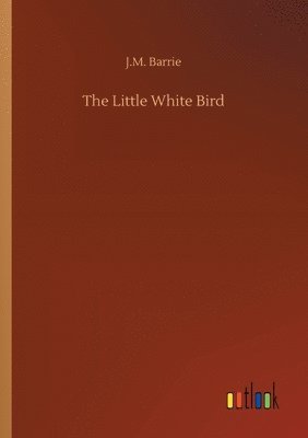 bokomslag The Little White Bird