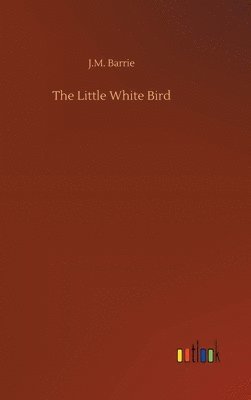 bokomslag The Little White Bird