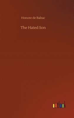 bokomslag Hated Son