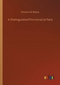 bokomslag Distinguished Provincial at Paris