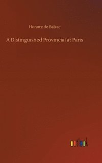 bokomslag Distinguished Provincial at Paris
