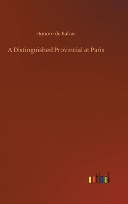 bokomslag Distinguished Provincial at Paris