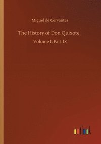 bokomslag The History of Don Quixote