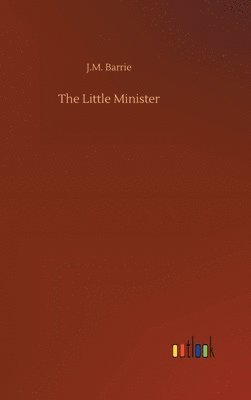 bokomslag Little Minister