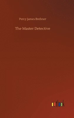 bokomslag Master Detective
