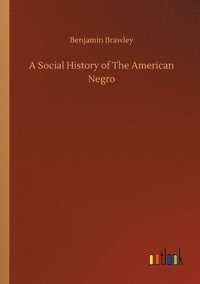 bokomslag A Social History of The American Negro