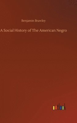 bokomslag A Social History of The American Negro