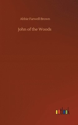bokomslag John of the Woods