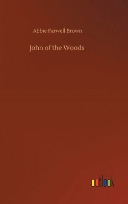 bokomslag John of the Woods