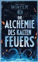 bokomslag Die Alchemie des kalten Feuers