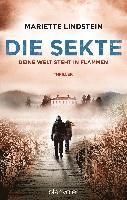 Die Sekte - Deine Welt steht in Flammen