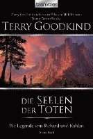 bokomslag Die Legende von Richard und Kahlan 03