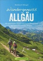 Bernhard Irlinger - Wandergenuss Allgäu, Häftad