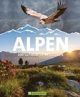 bokomslag Alpen