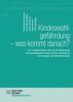 Kathinka Beckmann, Franziska Breitfeld, Claus Gollmann, Katja Werner, Vera Morawetz - Kindeswohlgefährdung - was kommt danach?, Häftad