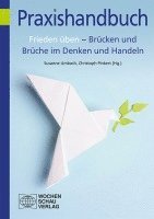 bokomslag Frieden üben - Brücken und Brüche im Denken und Handeln