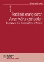 bokomslag Radikalisierung durch Verschwörungstheorien