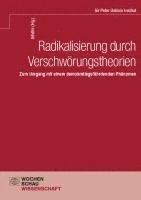 Radikalisierung durch Verschwörungstheorien 1