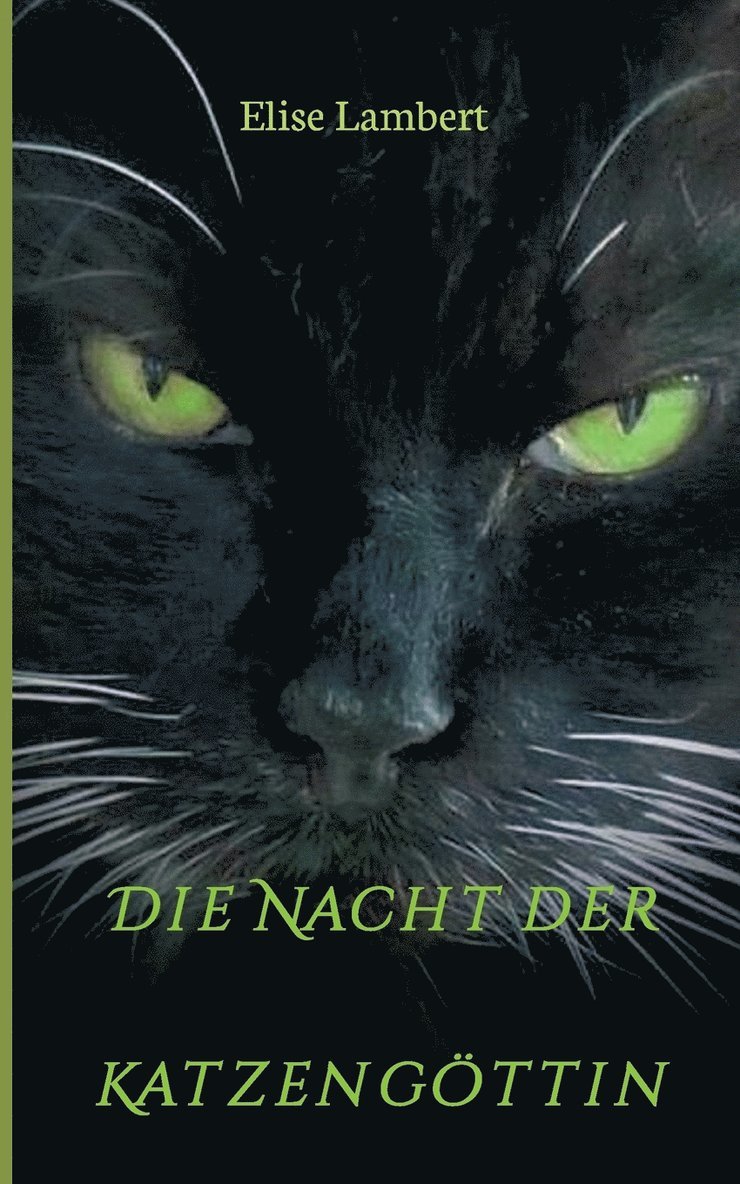 Die Nacht der Katzengöttin