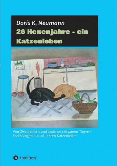 bokomslag 26 Hexenjahre - ein Katzenleben