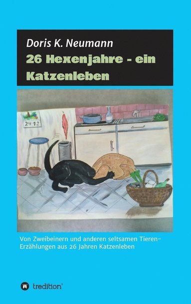 bokomslag 26 Hexenjahre - ein Katzenleben